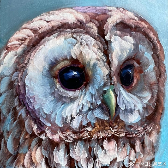 8/ 9画家霍莉·斯托利笔下的猫头鹰 679/ 9画家霍莉·斯托利笔下的