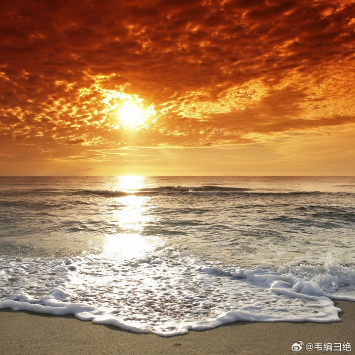 诗意以一种舞蹈在暖暖的午后,在粼粼后碧波上__财经