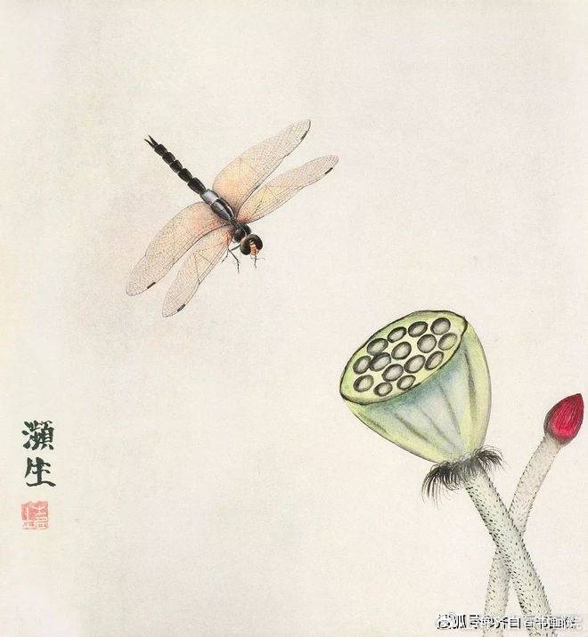 如何鉴定送拍齐白石的蜻蜓,齐白石传人汤发周说,看蜻蜓画法即可|荷花