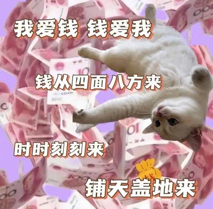 发财猫猫表情包