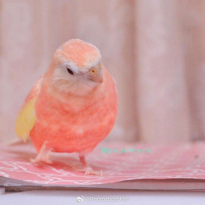 ps修改字体教程