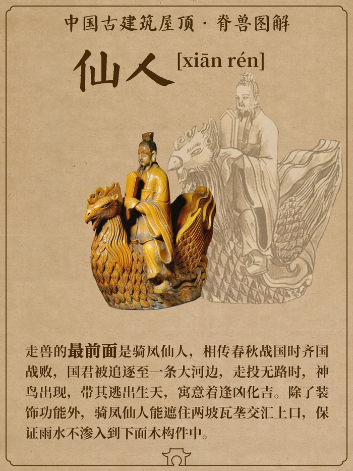 一组图看懂五脊六兽 | 图/苏州园林研究所