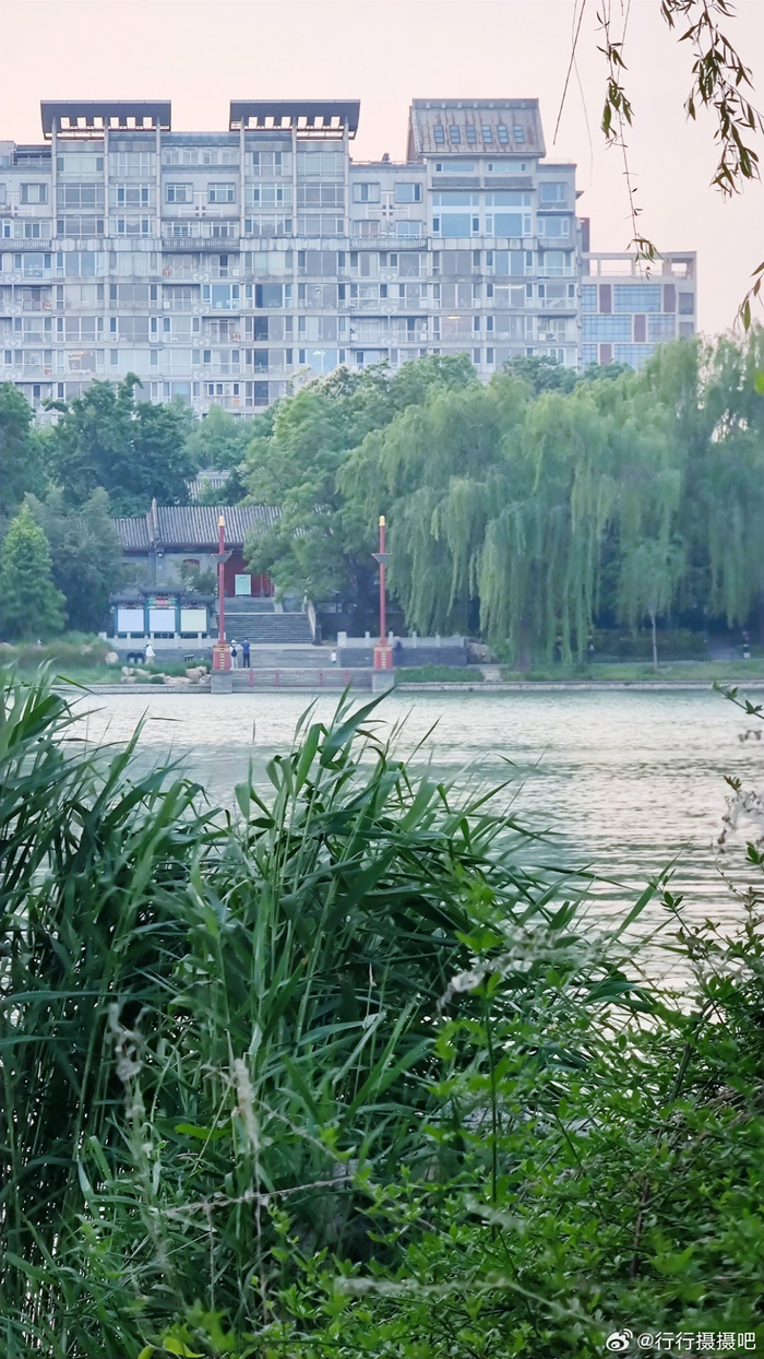 北京紫竹院公园夏日随手拍 摄影