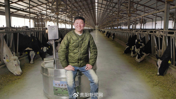 养牛人付冰：在中国好牧场孕育世界级好奶|内蒙古自治区|赤峰市|赤峰|奶牛|伊利_新浪新闻