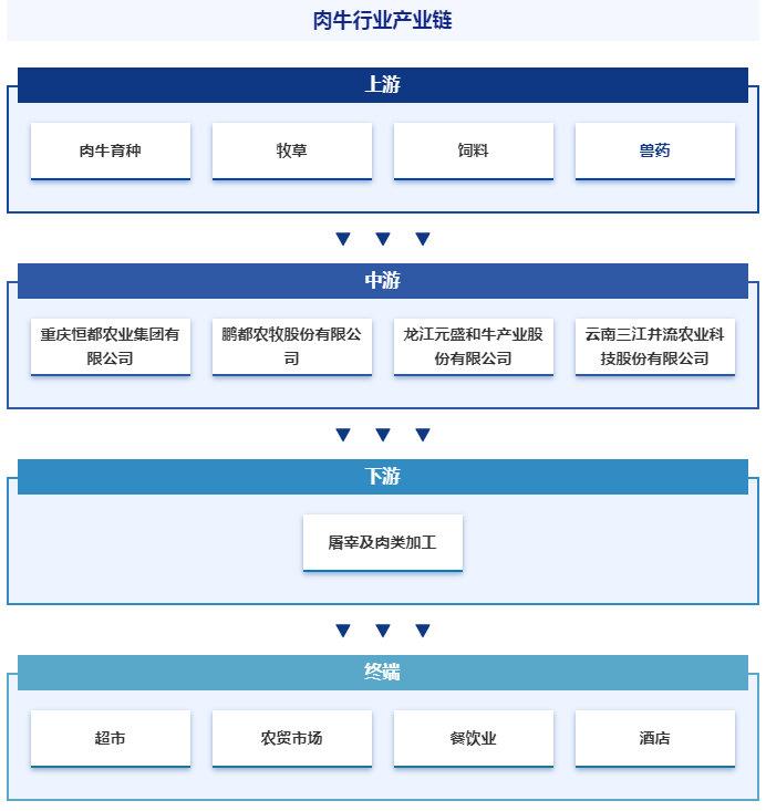 产业发展环境透析|智研产业百科【121—肉牛|肉牛|畜牧业|养殖业