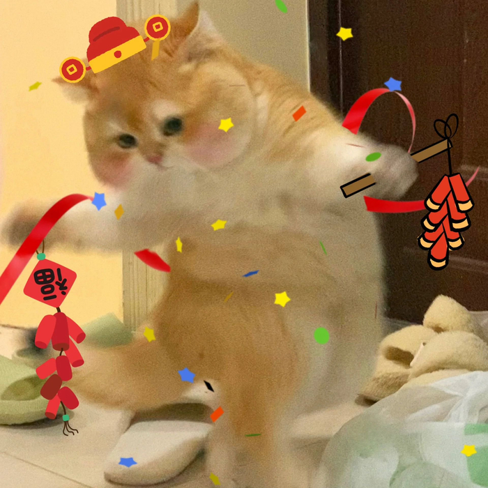 修猫拜年红包表情包相信我马上就用的到了