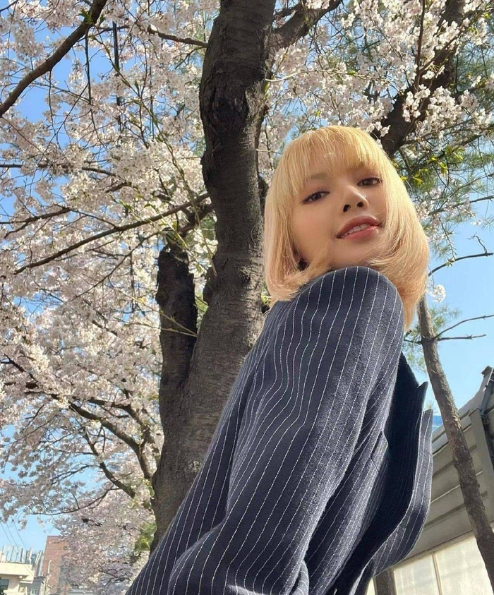 lisa金发樱花照这个新发色好好看啊