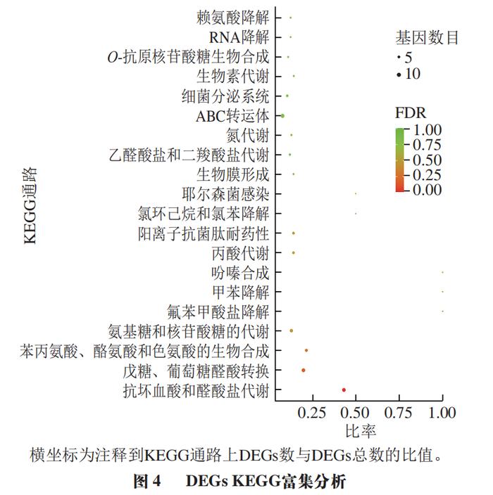 樣本基因集中的所有基因被富集到123個go條目,如圖3所示.