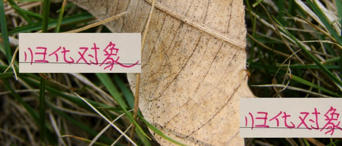 归化对象中轴线有了！海港28岁莱昂 成都30岁罗慕洛