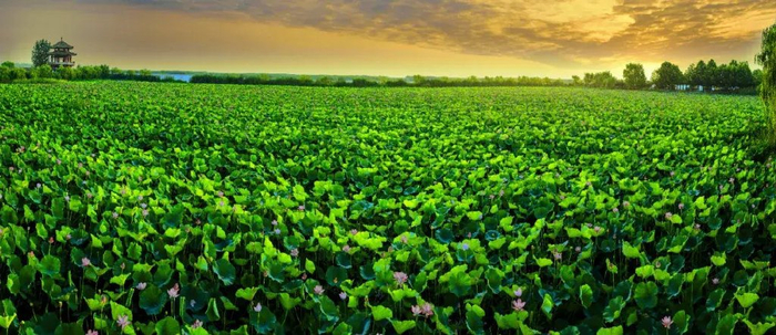 趣游济宁 | 来这些"多巴胺"景区解锁一夏好心情