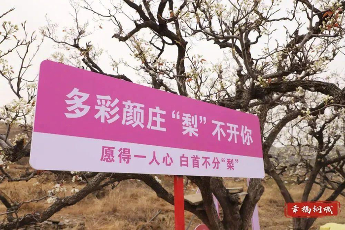 灵岩寺|泉城|四季_新浪新闻