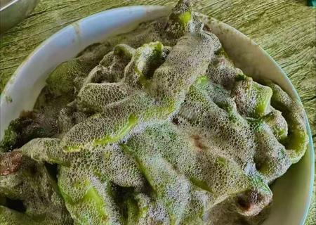 只有东北人才知道豆角起泡的含金量
