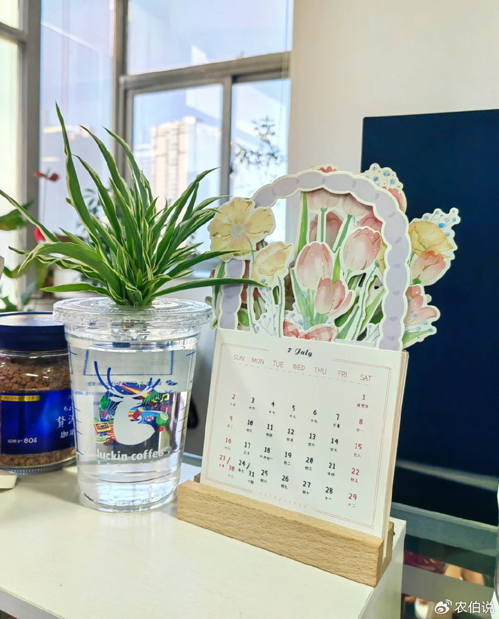 70岁大爷捡破酒瓶养花,"土豪出天价"都要抢着买!