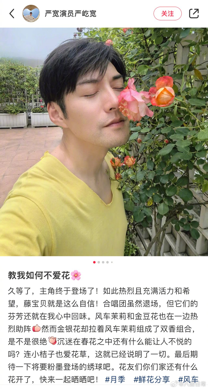 严屹宽真的很爱花