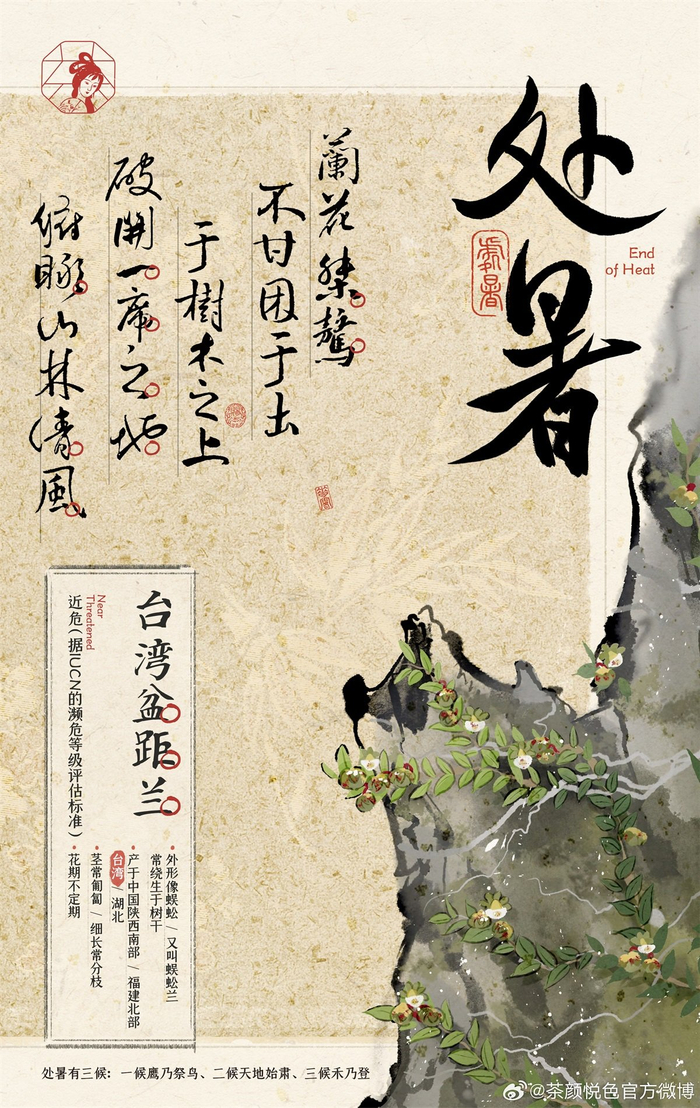 茶颜悦色24节气海报古韵悠长