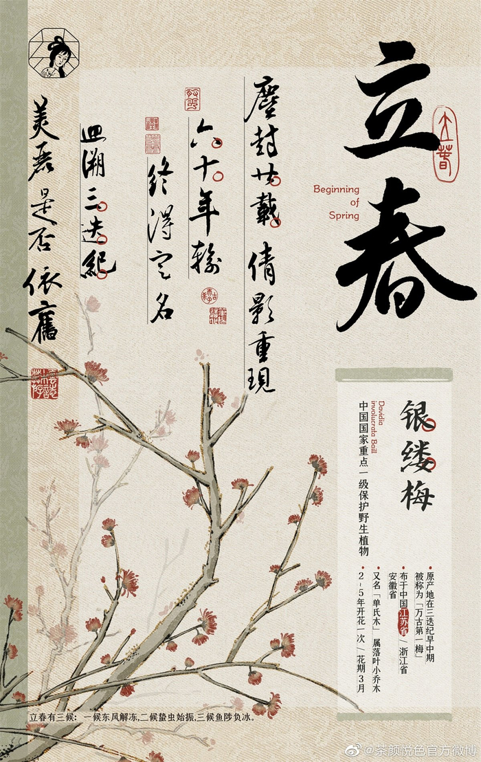 茶颜悦色24节气海报古韵悠长