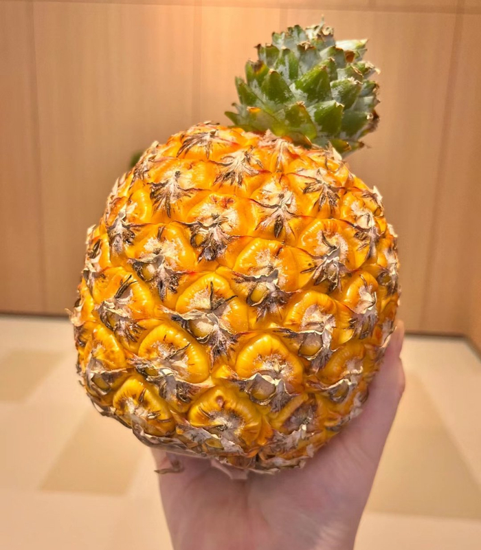 芒果凤梨香甜来袭