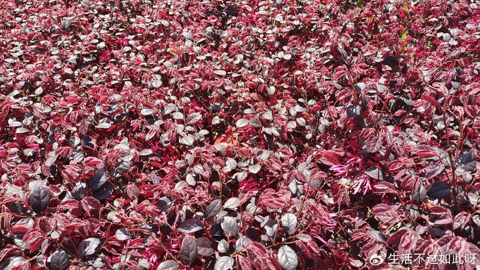 老伴走了,亲家母主动要和我搭伙,提出3个要求,听完我直接拒绝