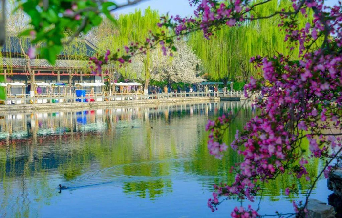 50余项活动,济南春日踏青出游指南发布!|灵岩寺|泉城|四季_新浪新闻