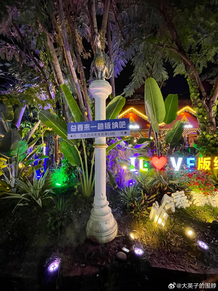 版纳景洪市"告庄星光夜市"听说非常热闹