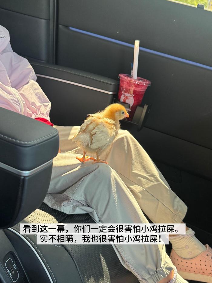 慕唐偏爱回姥姥家，爬山采摘乐趣多