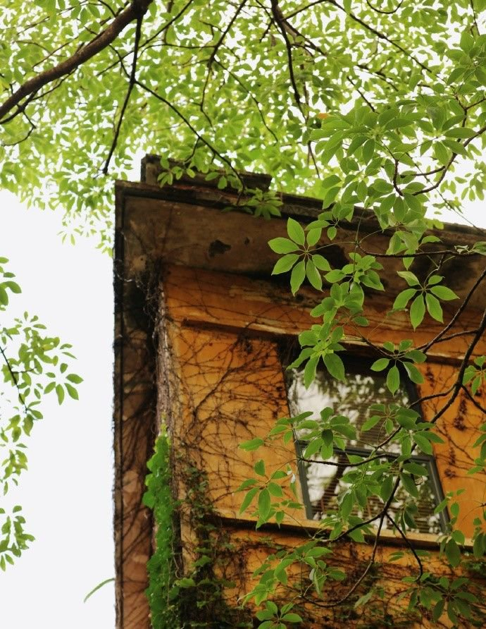 紫泥堂的小黄楼就是夏日多巴胺呀广州紫泥堂via