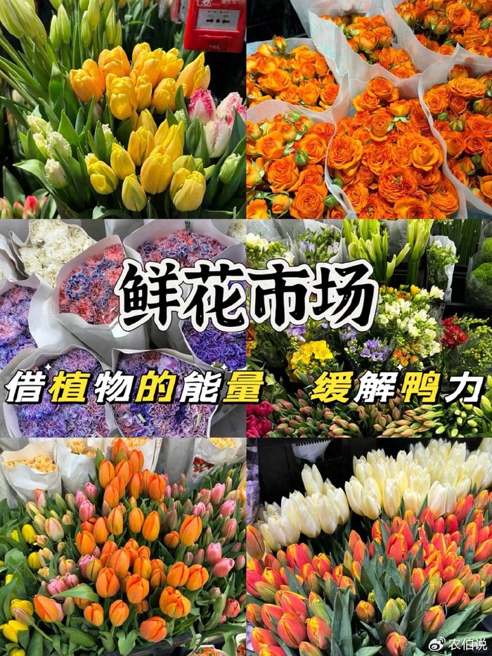 70岁大爷捡破酒瓶养花,"土豪出天价"都要抢着买!