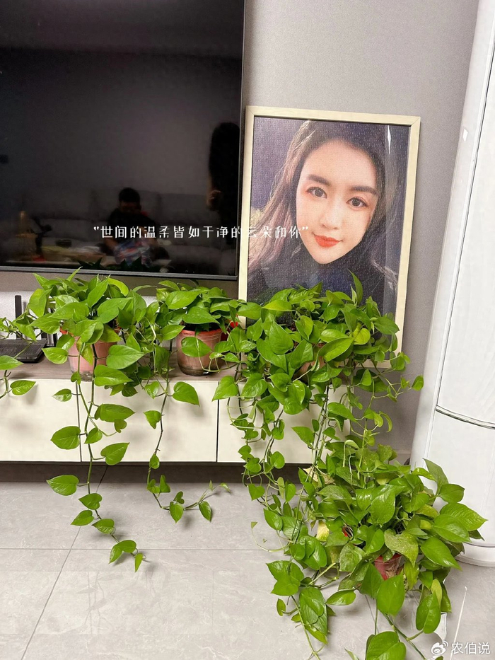 绿萝养烦了,试试这3种"垂吊花",5个月就长成"花帘子"|吊兰|仙人指
