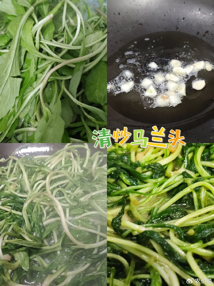 野菜|马兰头|荠菜_新浪新闻