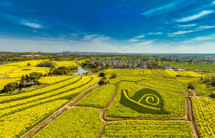 江苏省"第一单"农业碳汇交易发生在南京