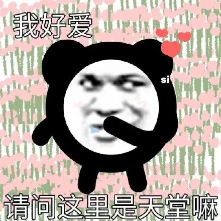 熊猫头表情包太喜欢啦 拿图请顺便吱一声 很难有动力发图了
