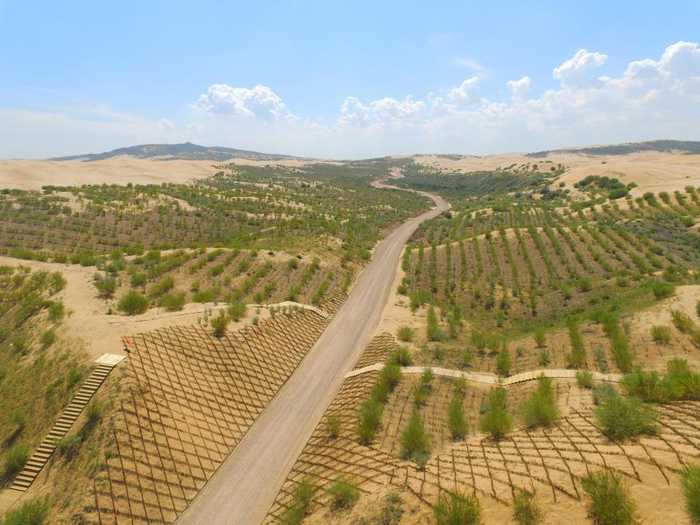 库布其沙漠治理模式为全球荒漠化治理提供中国经验