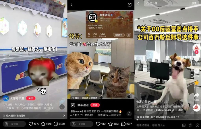 00后官号运营,正在用猫meme勇闯职场|表情包集锦|天猫|科技大公司|顺丰速运|小红书_新浪新闻