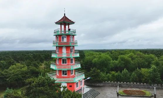 "万亩松"坐落在辽宁省沈阳市康平县西北部30公里处的海洲窝堡乡境内