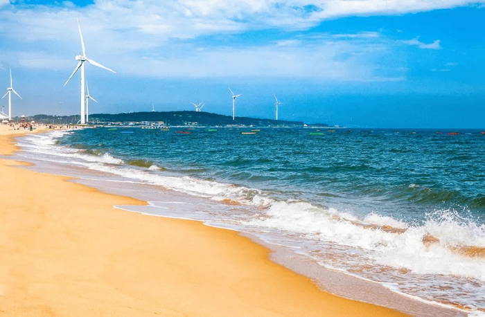 全部开放!hey～洗海澡吗?来沙滩偶遇"巧克力大爷"