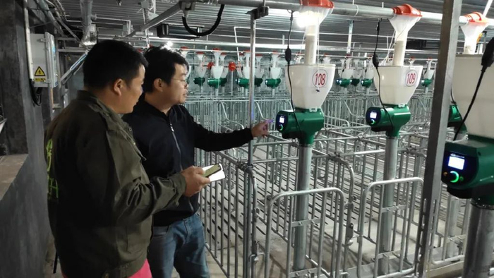 用互联网改变农业，农信互联AI总部探索“智慧养猪”新路径