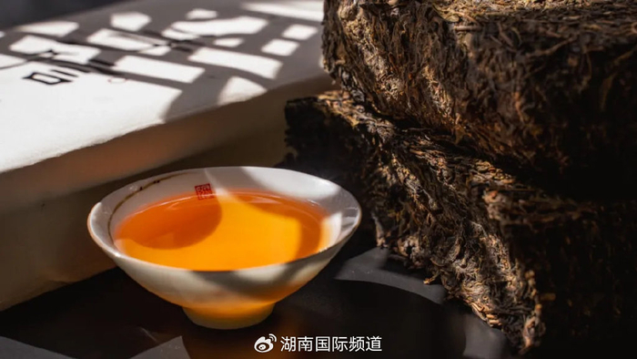 文化中国行丨台湾茶人在湖南茶马古道探寻中华文脉
