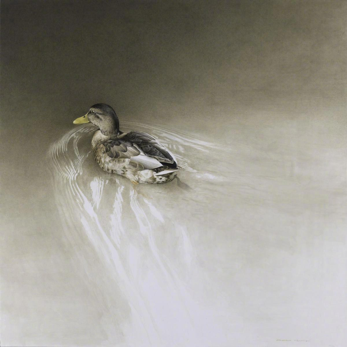 画家 marzio tamer 动物绘画作品 | www.jonathancooper.co.