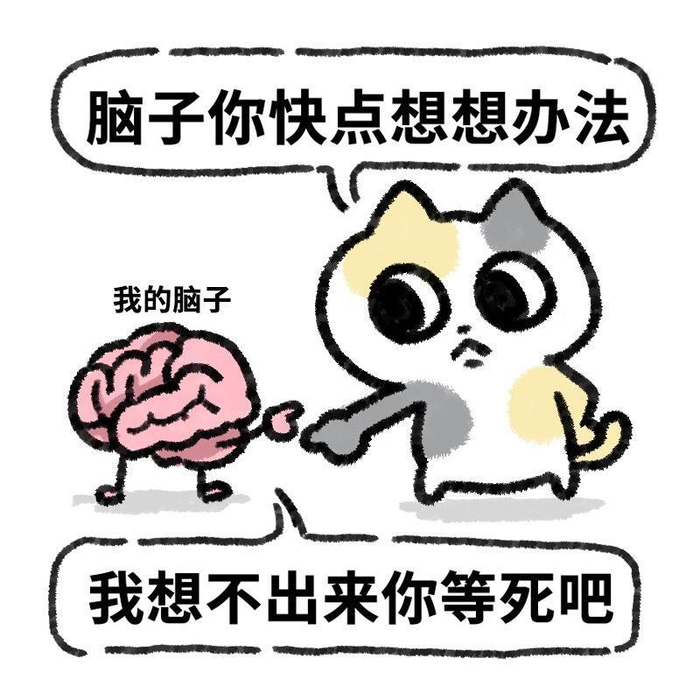 猫 没脑子表情包