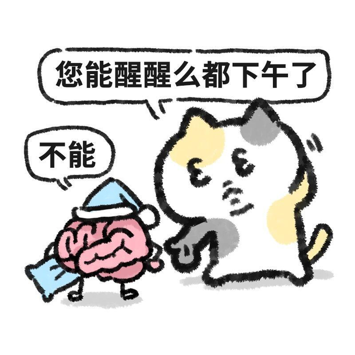猫 没脑子表情包