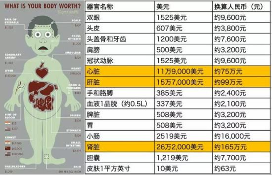 早前美国medical tranion网站公布了一份美国黑市的人体器官交易价格
