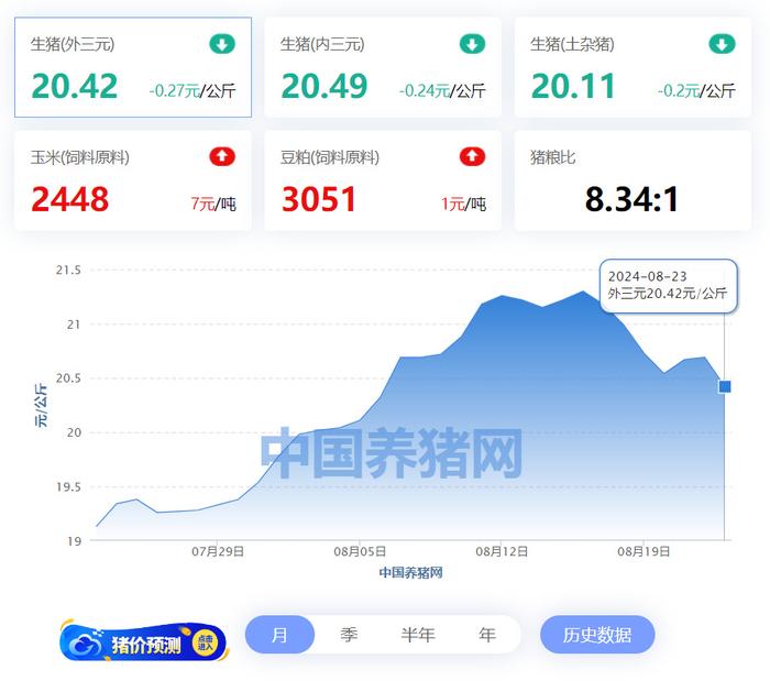 08月23日猪价：一夜“惨绿”！这波涨势就到头了？