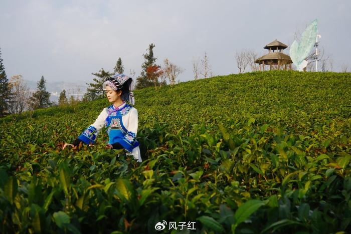 貴州興義丨四天三晚跨年遊,吃住行攻略|興義|貴州|布依族_新浪新聞