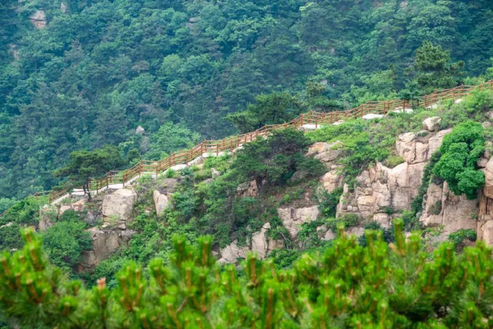 房干生态旅游区是国家4a级旅游景区,全国农业旅游示范点,山东省首批