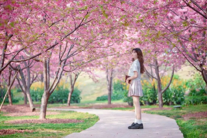 樱花海人像这样拍,唯美浪漫人又美,发朋友圈获赞无数|人像|樱花|拍摄