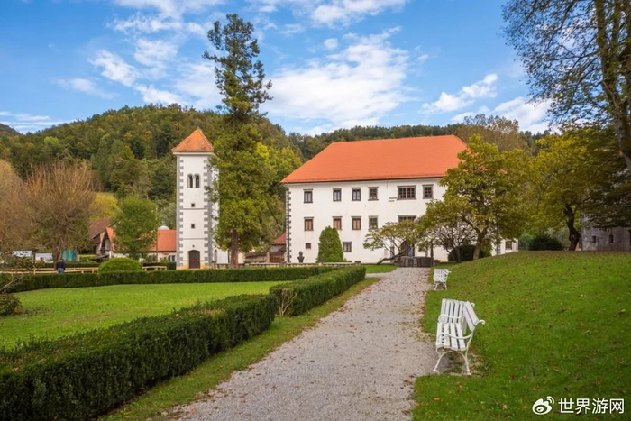 世界蜜蜂日 | 去斯洛文尼亚探访蜜蜂的"甜蜜事业"