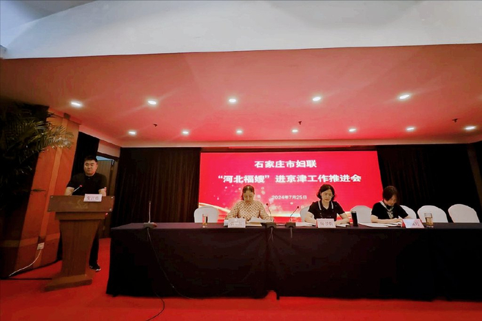 石家庄长安区妇联在全市妇联系统民生工程工作推进会上做典型发言
