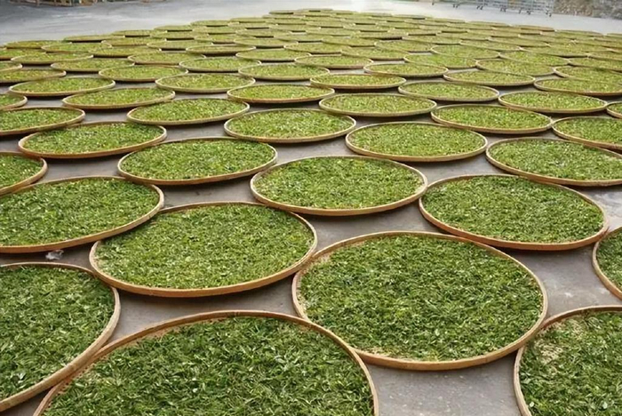 福建屏南茶业协会发布三大茶叶团体标准|屏南|屏南县|茶叶_新浪新闻