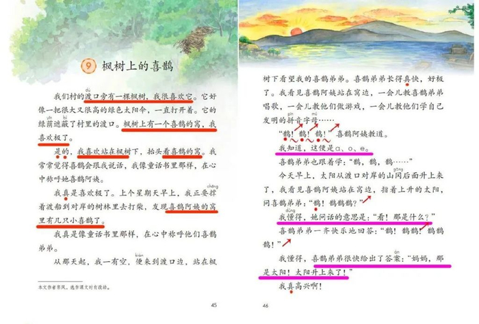 十二自然段说的是我看见喜鹊阿姨站在窝边教喜鹊弟弟唱歌,游戏,学拼音