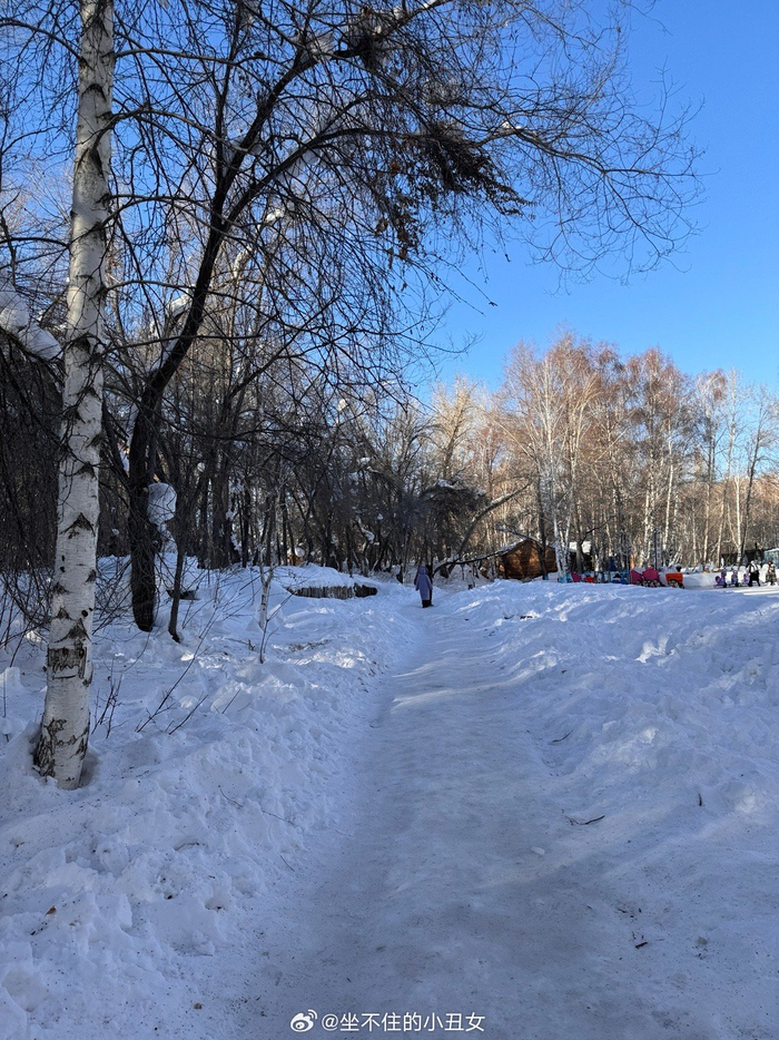 终于抽出时间来桦林公园啦还见到了小狐狸